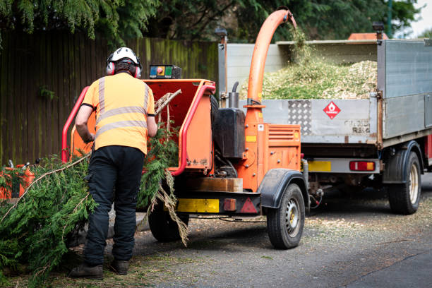 Key Biscayne, FL Tree Care Services Company